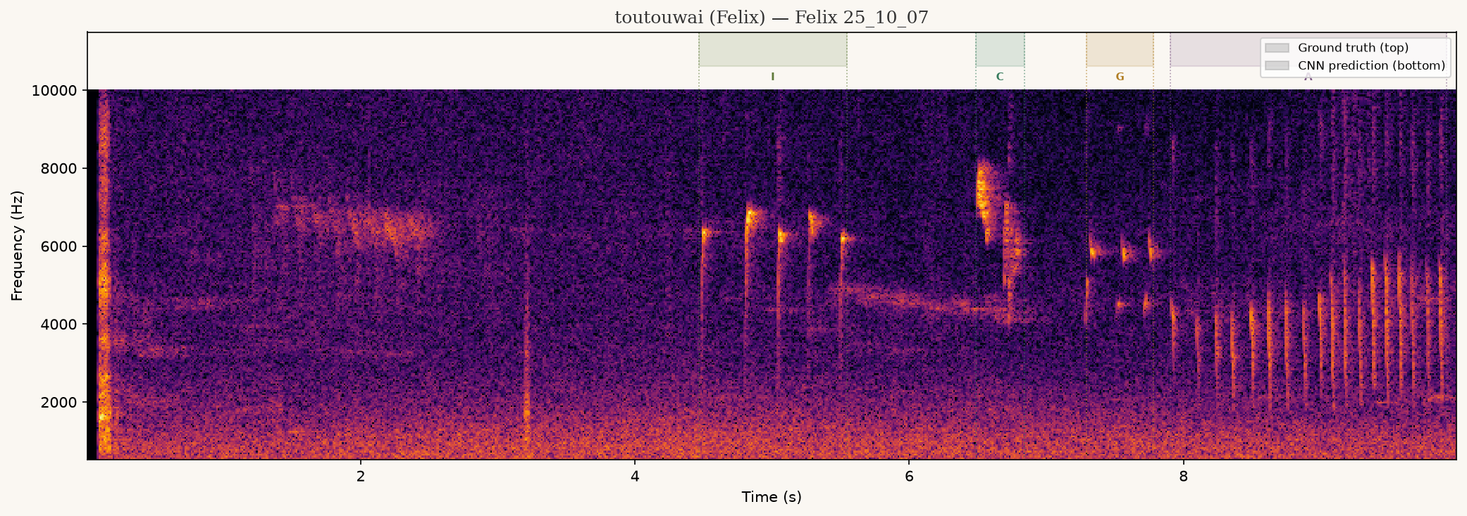 Toutouwai spectrogram, ground-truth annotations only — Felix